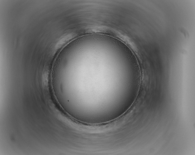 X0000114520010200910191204