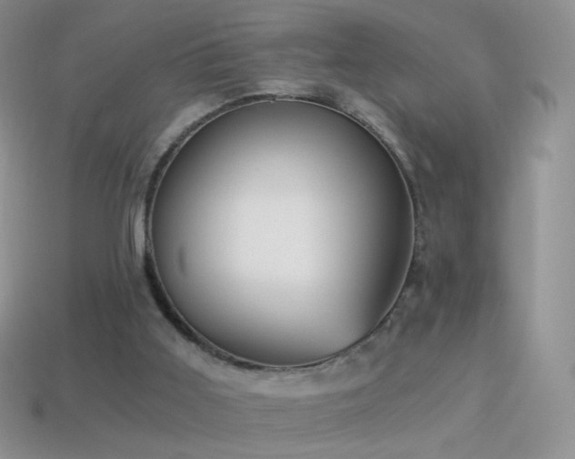 X0000114520011200910191204