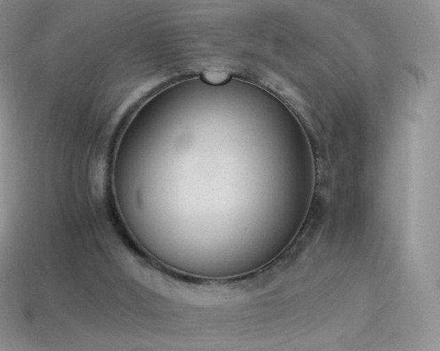 X0000114520012200910191204