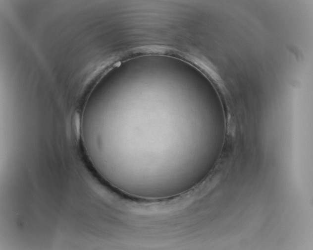 X0000114520013200910191204