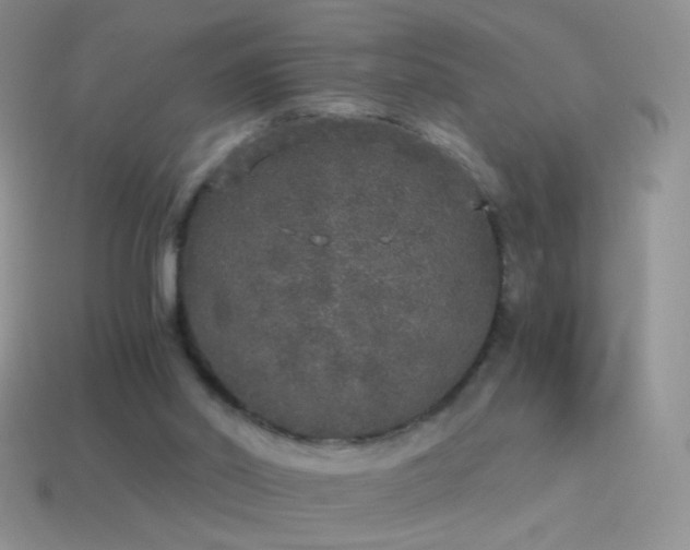 X0000114520014200910191204