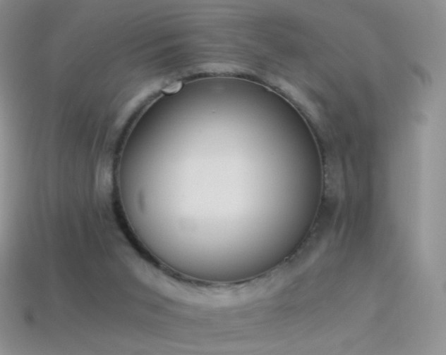 X0000114520015200910191204