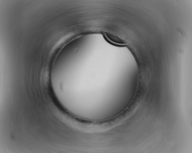 X0000114520016200910191204