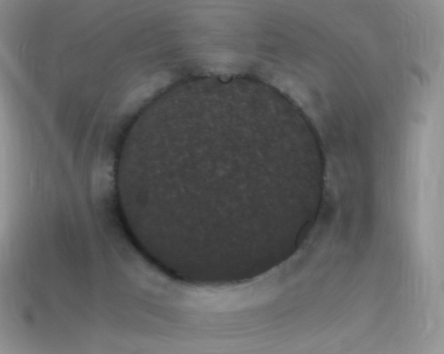 X0000114520017200910191204