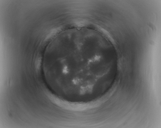 X0000114520018200910191204