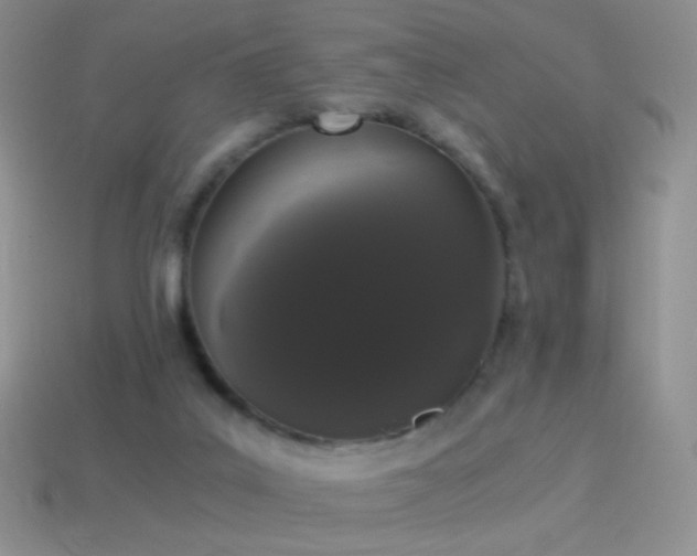 X0000114520019200910191204