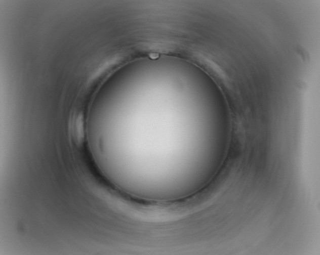 X0000114520020200910191204