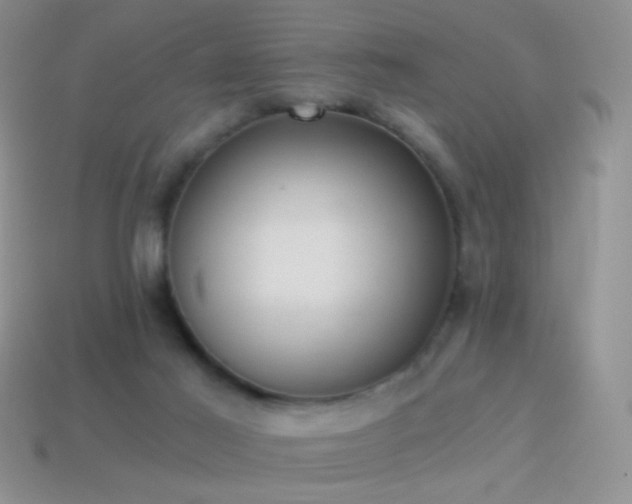 X0000114520021200910191204