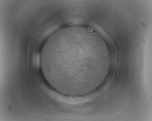 X0000114520022200910191204