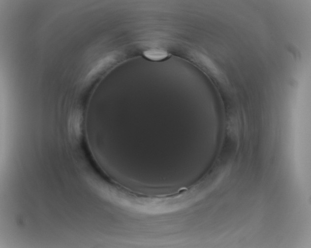 X0000114520023200910191204