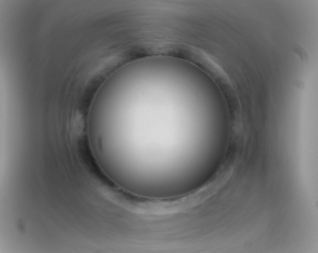 X0000114520025200910191204