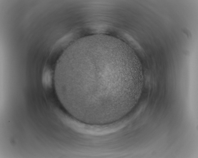 X0000114520026200910191204