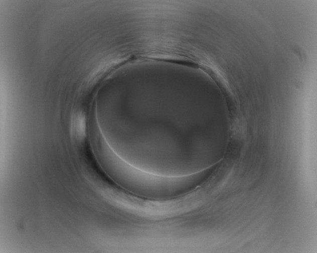 X0000114520027200910191204