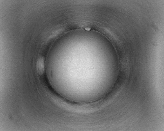 X0000114520028200910191204