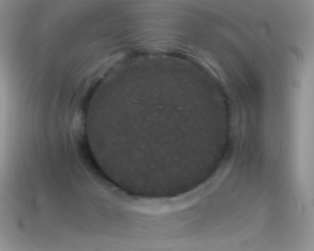 X0000114520029200910191204