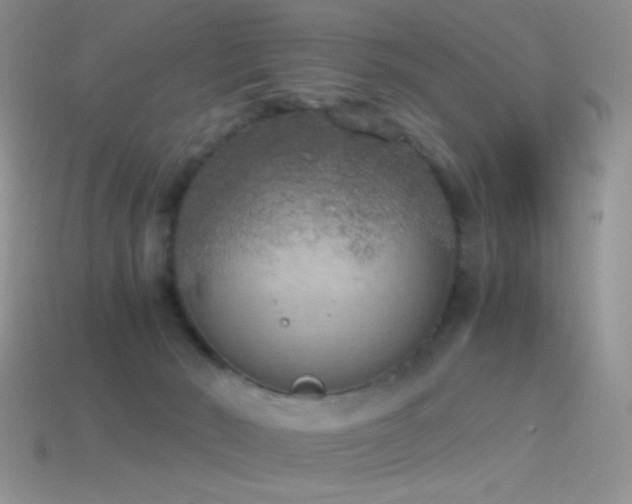 X0000114520030200910191204