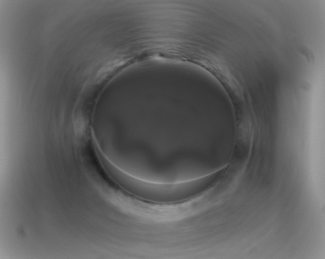 X0000114520031200910191204