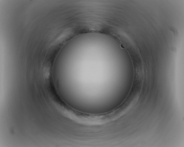 X0000114520032200910191204