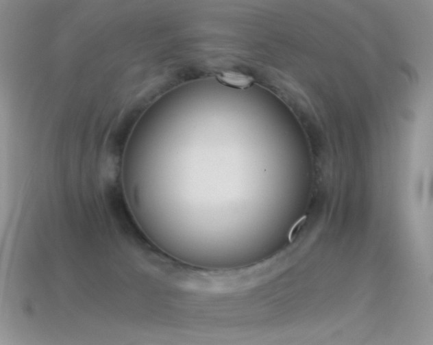 X0000114520033200910191204