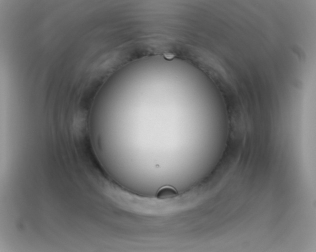 X0000114520034200910191204