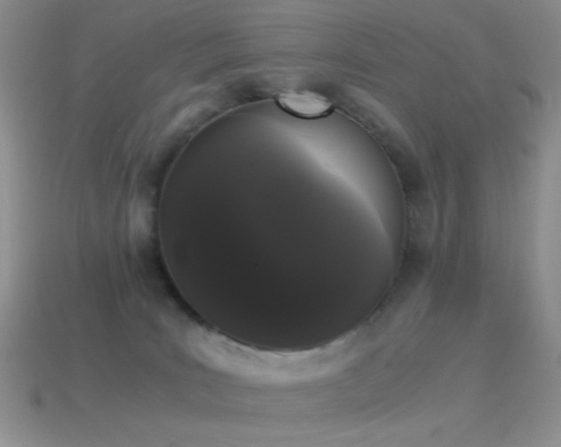 X0000114520035200910191204