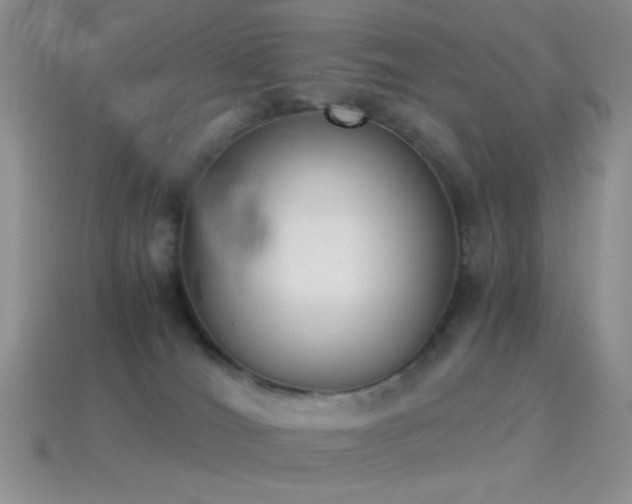 X0000114520036200910191204