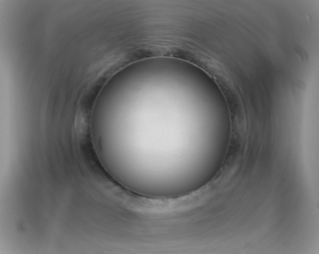 X0000114520037200910191204