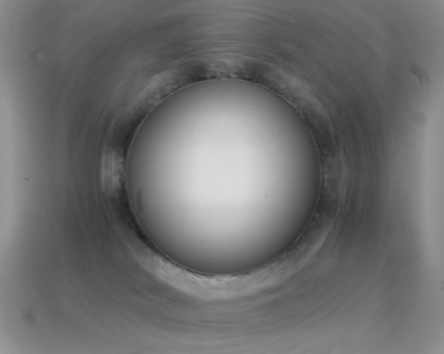 X0000114520038200910191204