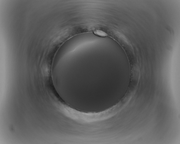 X0000114520039200910191204