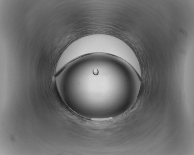 X0000114520041200910191204