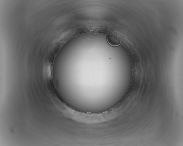 X0000114520042200910191204