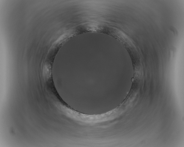 X0000114520043200910191204