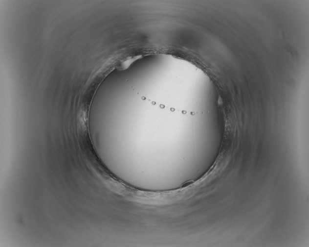 X0000114520045200910191204