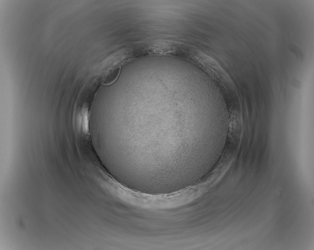 X0000114520046200910191204