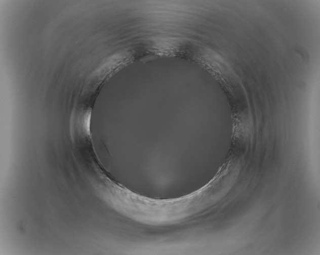 X0000114520047200910191204