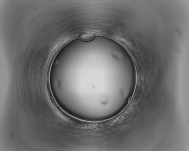 X0000114520049200910191203