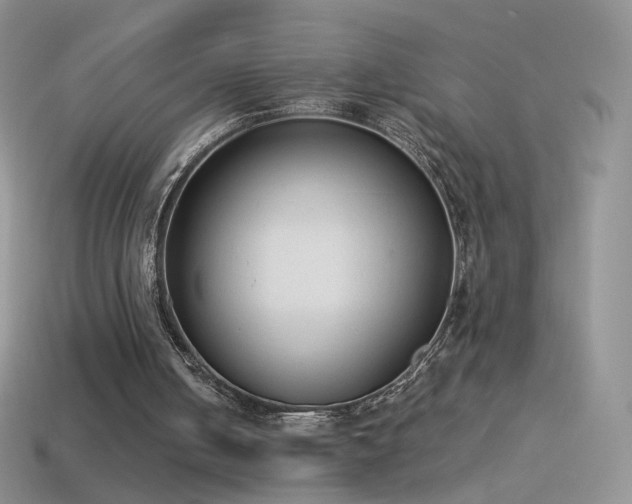 X0000114520050200910191203