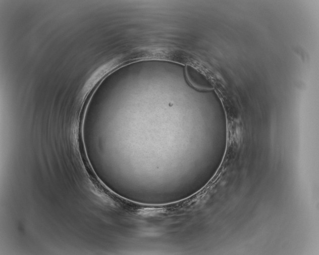 X0000114520051200910191203