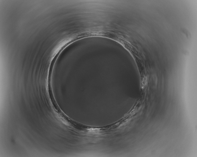 X0000114520052200910191203