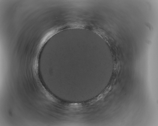 X0000114520053200910191203