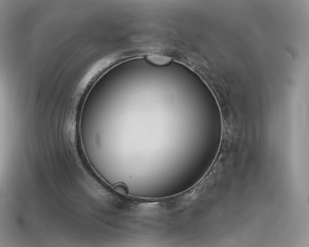 X0000114520054200910191203