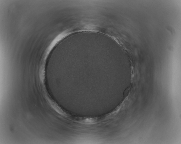 X0000114520056200910191203