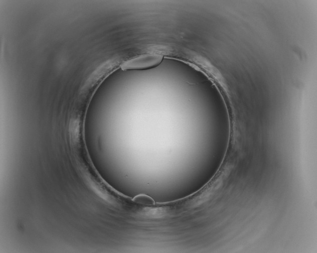 X0000114520057200910191203