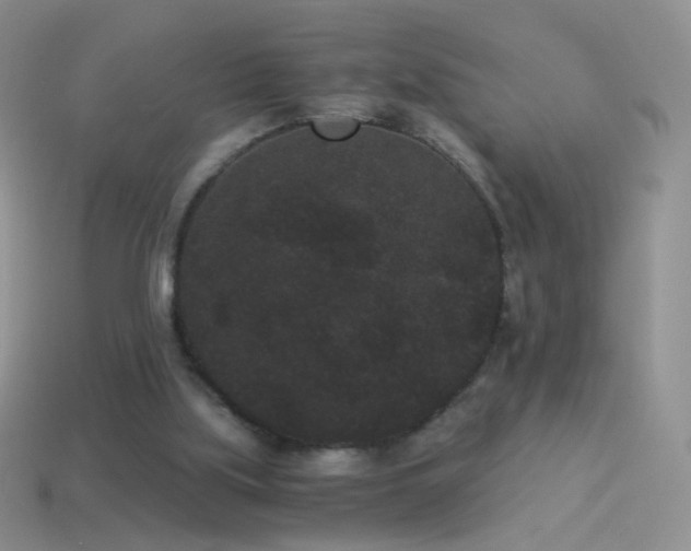 X0000114520059200910191203