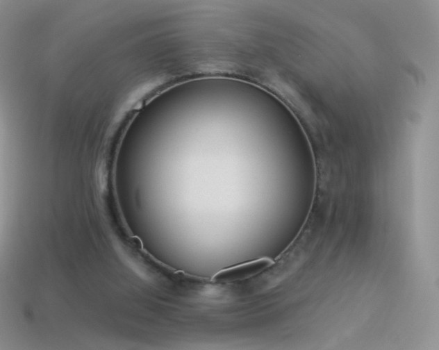 X0000114520060200910191203