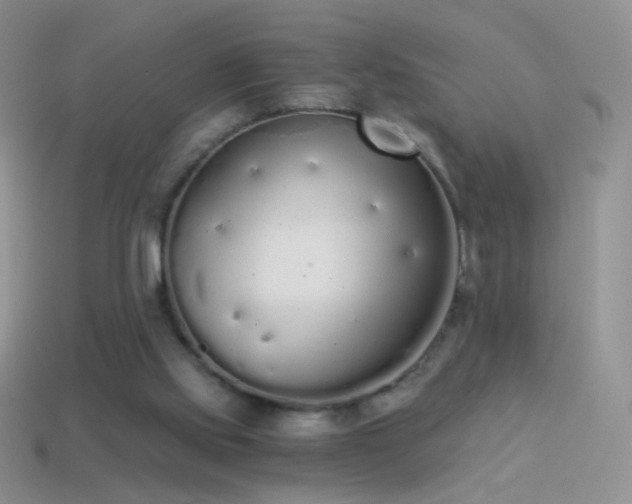 X0000114520061200910191203