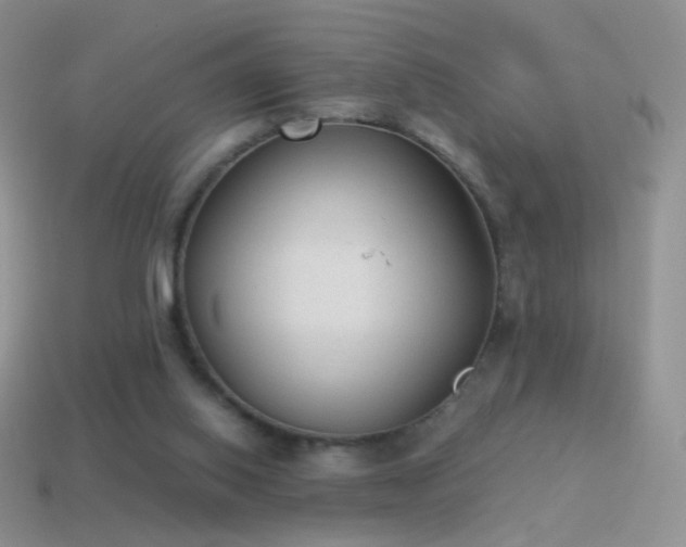 X0000114520062200910191203