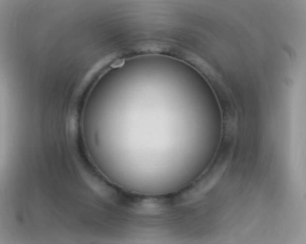 X0000114520064200910191203