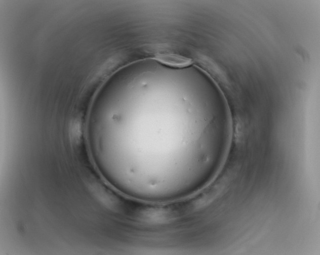 X0000114520065200910191203