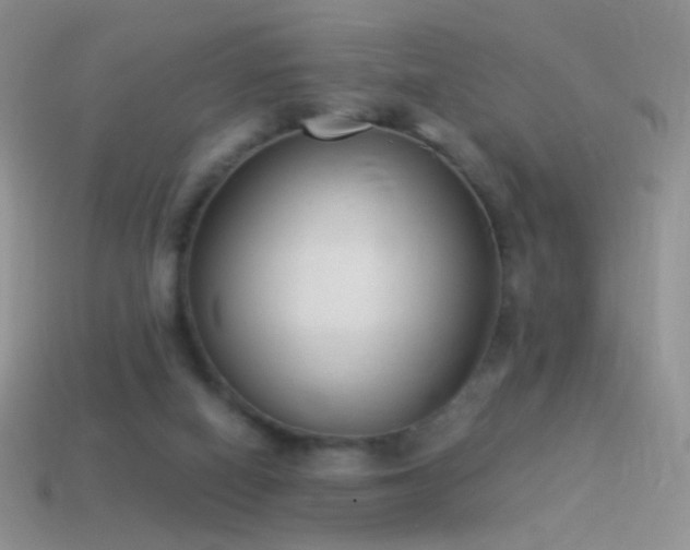 X0000114520066200910191203